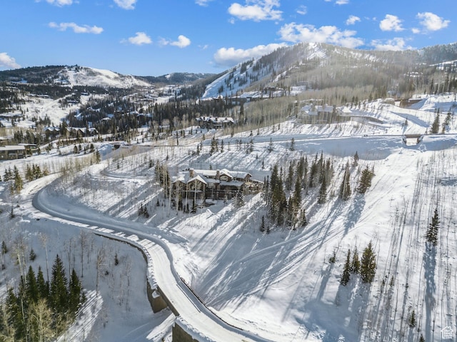 39 White Pine Rd, Park City, UT 84060 - photo 9