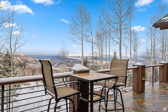 39 White Pine Rd, Park City, UT 84060 - photo 101