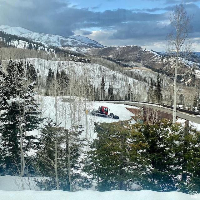 39 White Pine Rd, Park City, UT 84060 - photo 122