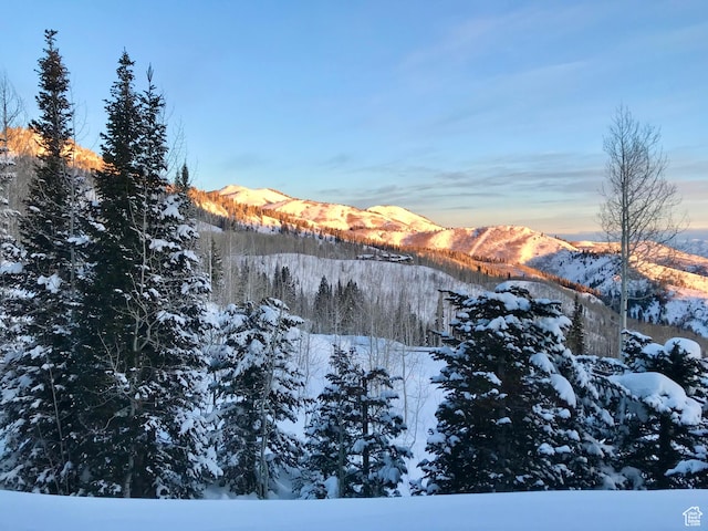 39 White Pine Rd, Park City, UT 84060 - photo 128