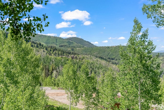 39 White Pine Rd, Park City, UT 84060 - photo 96