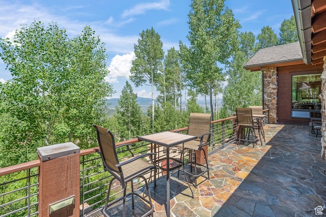 39 White Pine Rd, Park City, UT 84060 - photo 102
