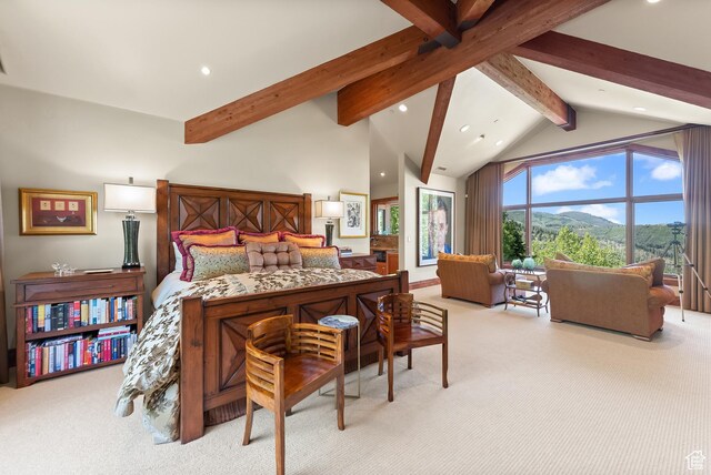 39 White Pine Rd, Park City, UT 84060 - photo 85