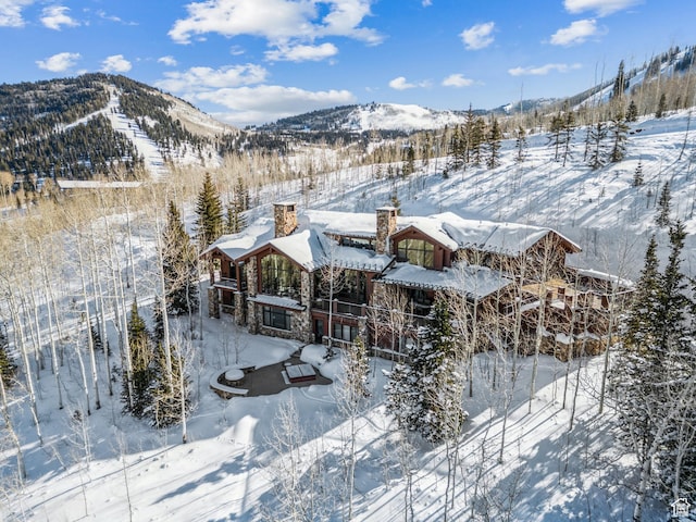 39 White Pine Rd, Park City, UT 84060 - photo 5