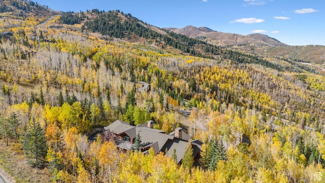 39 White Pine Rd, Park City, UT 84060 - photo 121