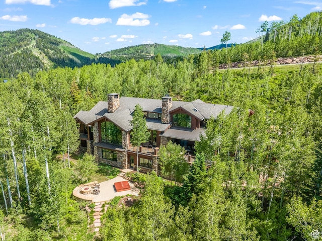 39 White Pine Rd, Park City, UT 84060 - photo 6
