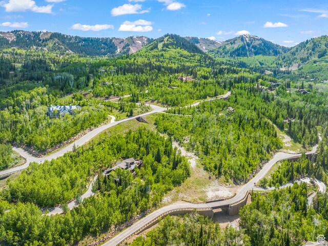 39 White Pine Rd, Park City, UT 84060 - photo 120