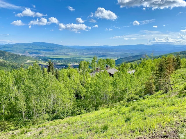 39 White Pine Rd, Park City, UT 84060 - photo 123