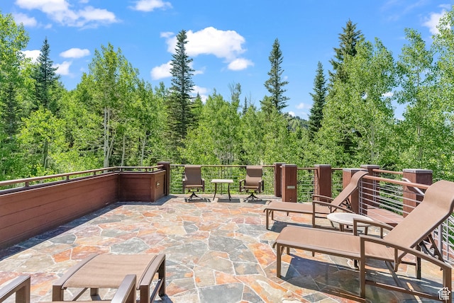 39 White Pine Rd, Park City, UT 84060 - photo 91
