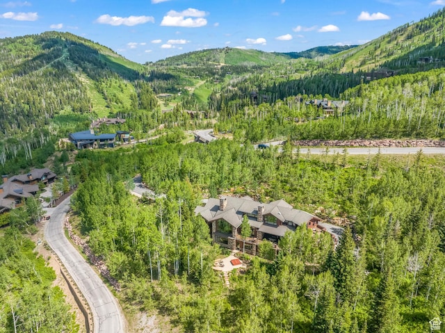39 White Pine Rd, Park City, UT 84060 - photo 8