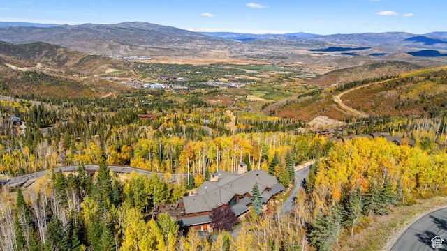39 White Pine Rd, Park City, UT 84060 - photo 16