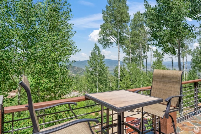 39 White Pine Rd, Park City, UT 84060 - photo 103