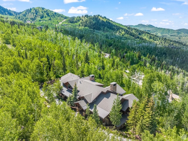 39 White Pine Rd, Park City, UT 84060 - photo 12