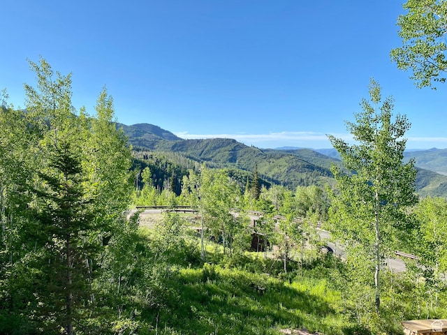 39 White Pine Rd, Park City, UT 84060 - photo 126