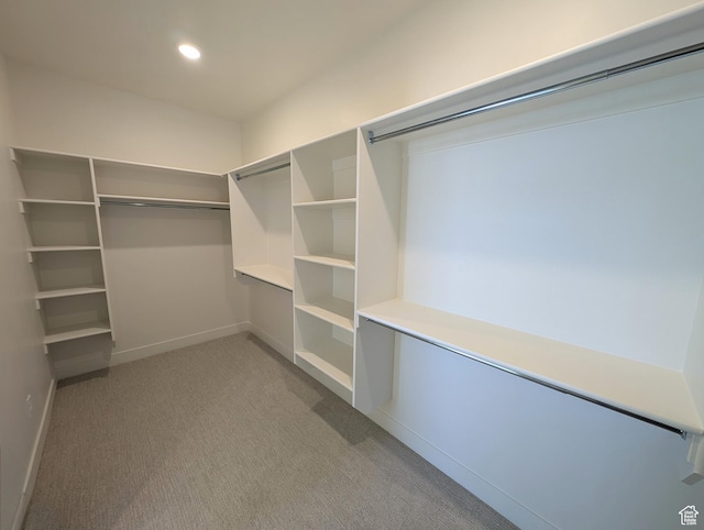 spacious closet with light colored carpet