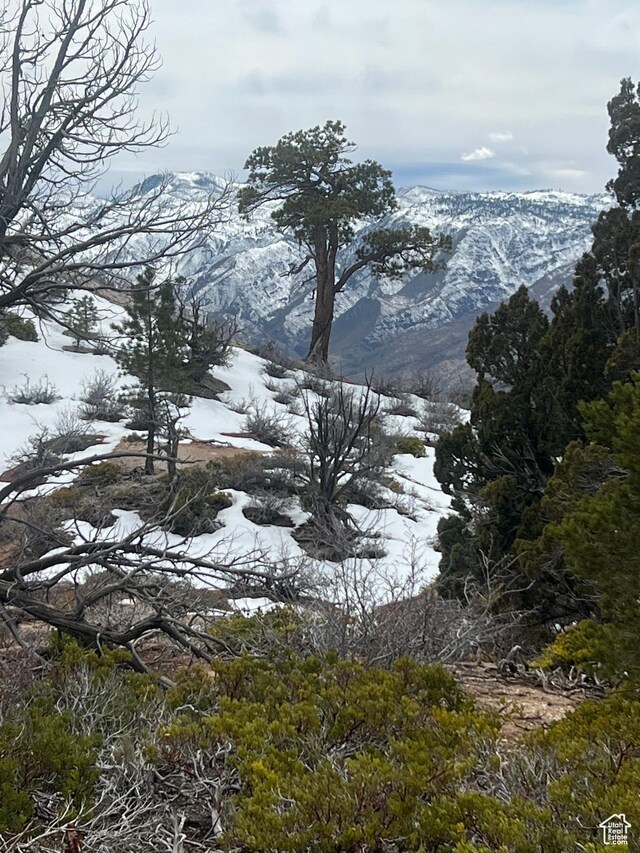 New Harmony, UT 84757 - photo 8