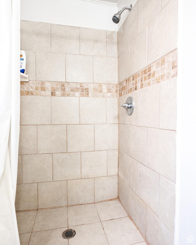 1180 S Cove View Rd, Richfield, UT 84701 - bathroom with tile patterned floors and curtained shower