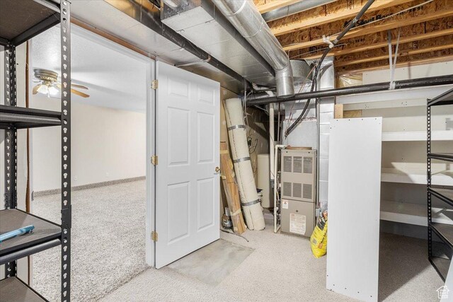 basement with carpet
