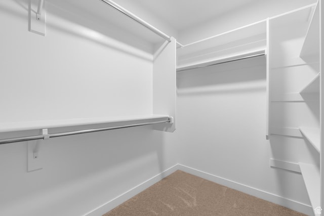 6636 W Prairie Fire Ln Unit 733, Herriman, UT 84096 - walk in closet with carpet
