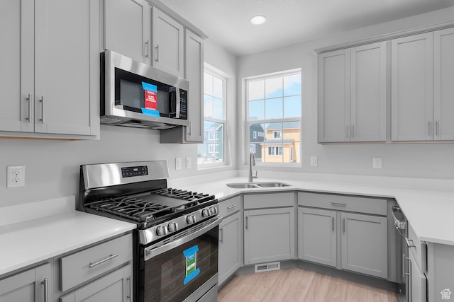 6636 W Prairie Fire Ln Unit 733, Herriman, UT 84096 - kitchen featuring gray cabinets, sink, light wood-type flooring, and appliances with stainless steel finishes