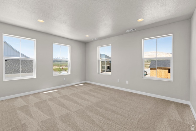 spare room featuring light colored carpet and a textured ceiling