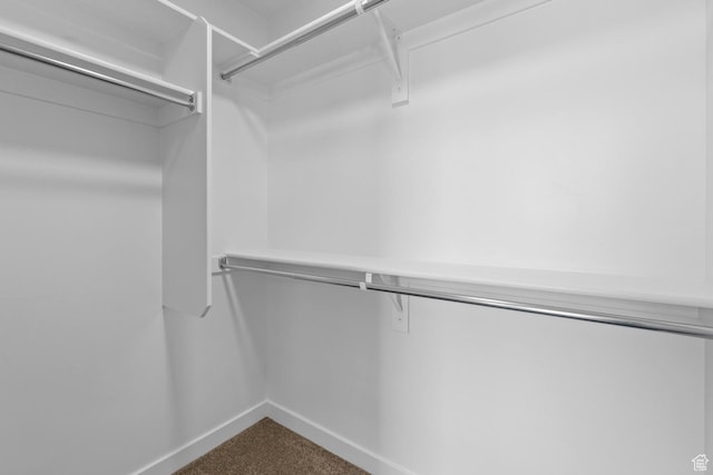 walk in closet with carpet floors