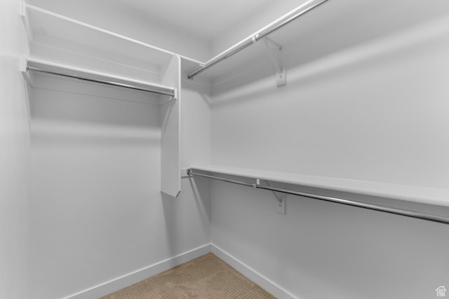 11209 S Easy Bee Rd, South Jordan, UT 84009 - spacious closet featuring light carpet