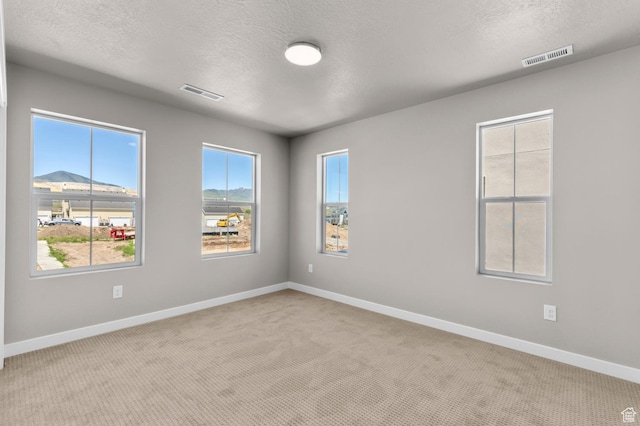 unfurnished room featuring a textured ceiling, a mountain view, and light carpet