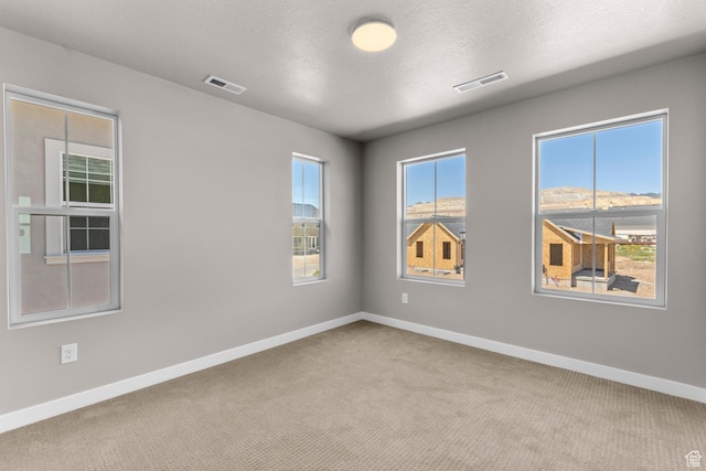 empty room with carpet floors and a textured ceiling