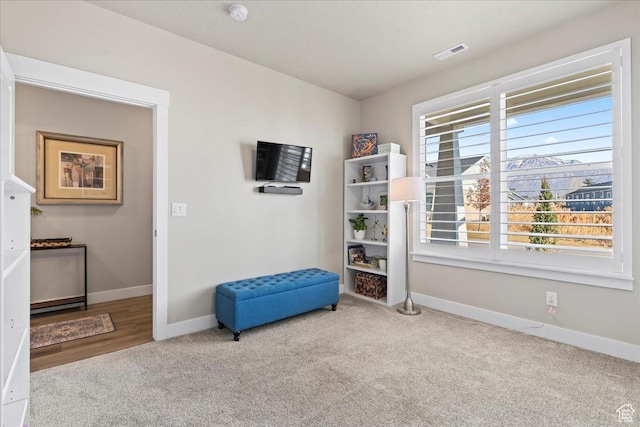 sitting room with carpet