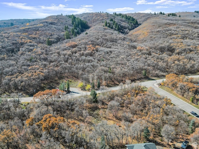 5013 E Maple Oak Ln Unit 28, Eden, UT 84310 - photo 12