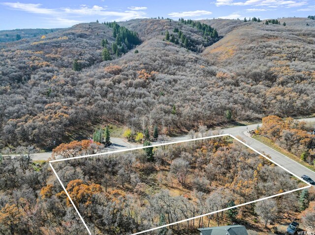5013 E Maple Oak Ln Unit 28, Eden, UT 84310 - photo 4