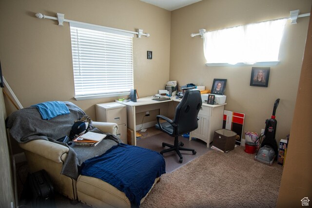 159 S 400 E, Annabella, UT 84711 - view of carpeted office