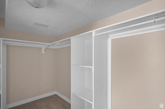 4487 W Tee Box Dr, South Jordan, UT 84009 - walk in closet featuring carpet