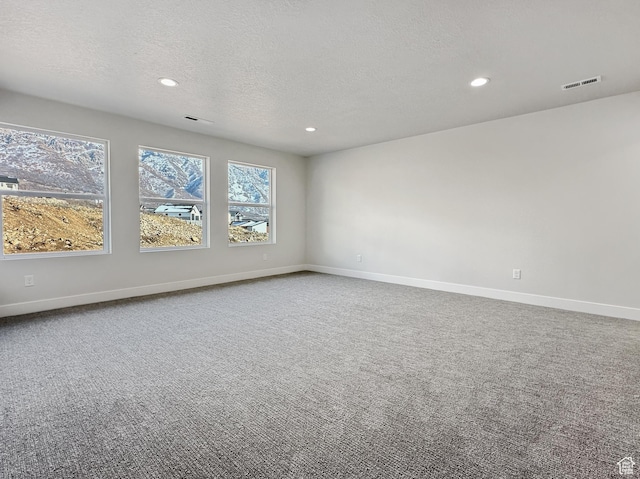 unfurnished room featuring carpet and a textured ceiling
