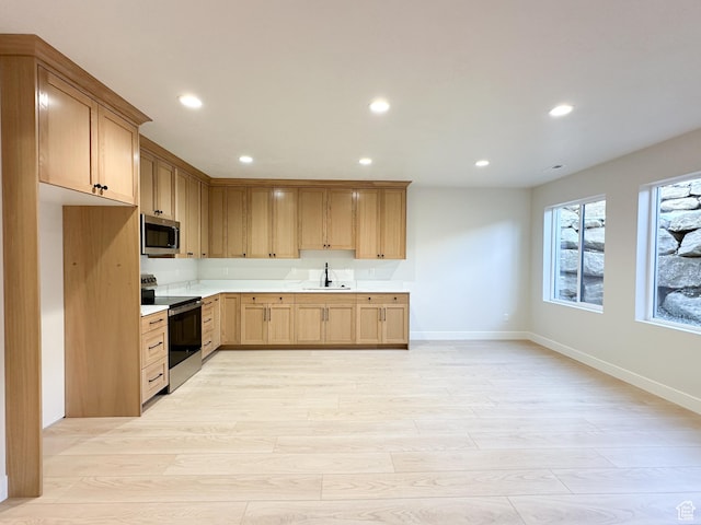 kitchen with appliances with stainless steel finishes, light hardwood / wood-style floors, and sink