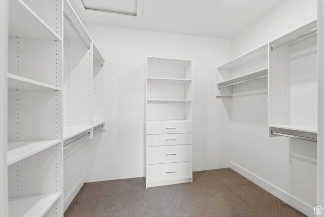 5758 Cobalt Cir Unit 12, Park City, UT 84098 - spacious closet with carpet