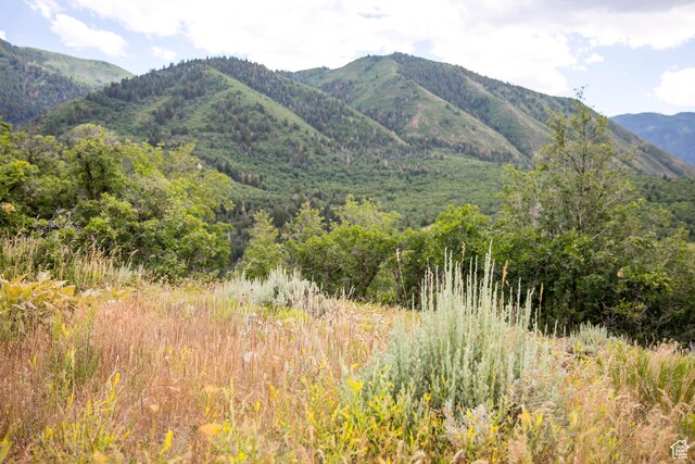 1078 S Loafer Dr Unit 217, Woodland Hills, UT 84653