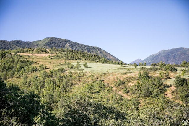 1078 S Loafer Dr Unit 217, Woodland Hills, UT 84653
