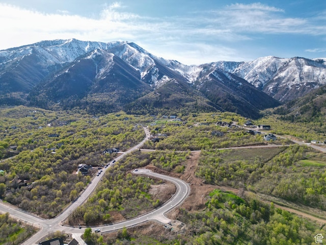 1064 S Loafer Dr Unit 208, Woodland Hills, UT 84653
