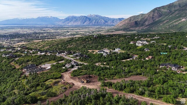 1064 S Loafer Dr Unit 208, Woodland Hills, UT 84653