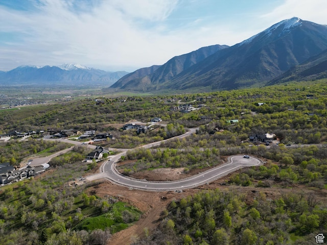 1064 S Loafer Dr Unit 208, Woodland Hills, UT 84653