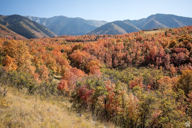 1064 S Loafer Dr Unit 208, Woodland Hills, UT 84653