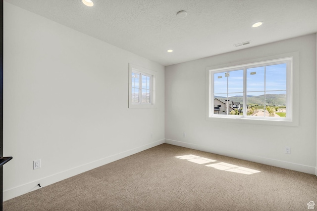 1333 Sage Way Unit 45, Francis, UT 84036 - carpeted spare room with a mountain view and a textured ceiling