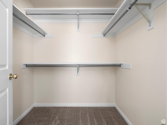 spacious closet with carpet