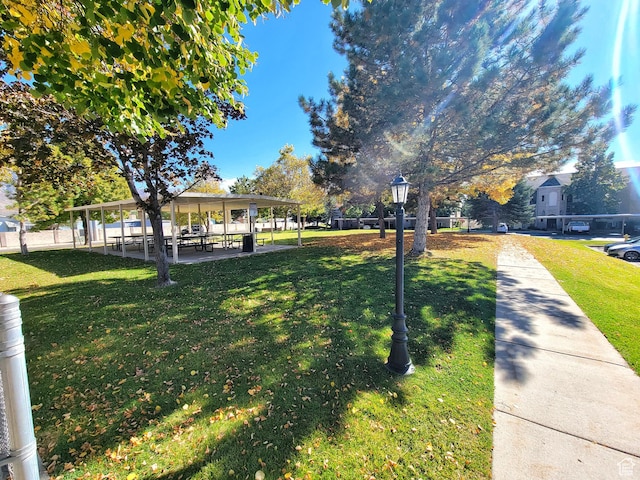 view of yard