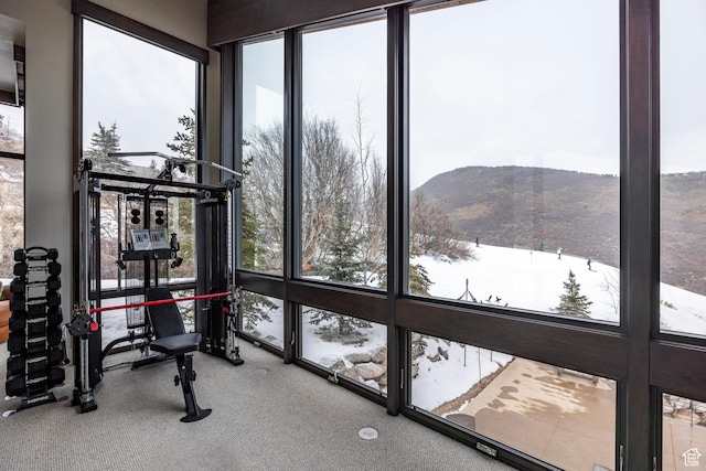 2848 W Deer Pointe Dr, Park City, UT 84060 - exercise area with a mountain view and carpet flooring
