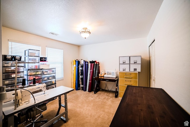 view of carpeted office