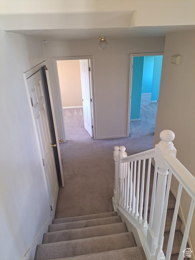 913 S 1320 E, Pleasant Grove, UT 84062 - stairs with carpet flooring