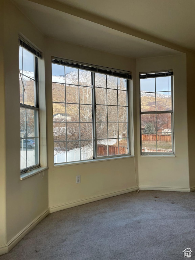 913 S 1320 E, Pleasant Grove, UT 84062 - unfurnished room with carpet floors